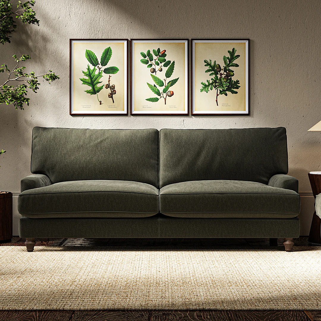 Somerset Collection